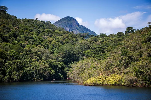 CBD COP16 secures landmark biodiversity funding agreement