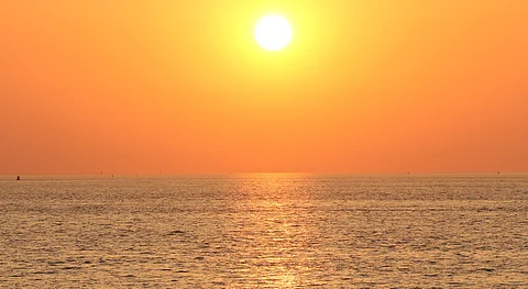 Rapid warming over last 2 years likely caused 240% increase in marine heatwaves globally: Study