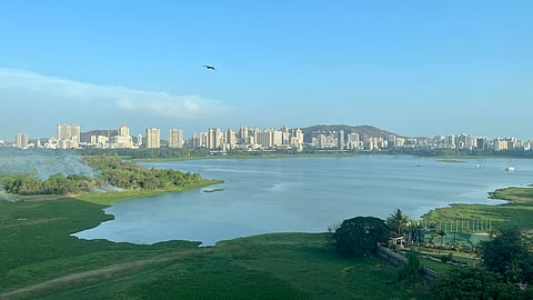 Managing 'blue-green' spaces is key to mitigating hazardous heat in urban areas