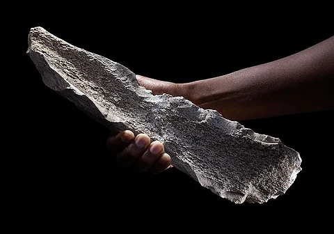 The research shows that 1.5 million years ago, animals were no longer merely threats, rivals, or sources of food, but also provided raw materials for tool production. Seen here, one of the bone tools found by the scientists