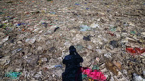 Single-use plastics, including bags, bottles, wrappers, and food packaging, are often carelessly discarded, either directly into the river or in nearby areas where they eventually make their way into the water.