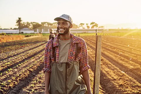 Ghana needs more young farmers, but does climate change put them off? Study shows surprising results