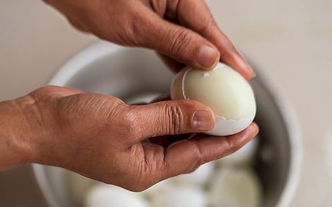 Eggs temporarily taken off mid-day meal menu in Bihar as bird flu spreads