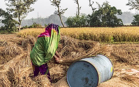 ‘Green Revolution’ was coined 57 years ago this month; it is time to reassess its legacy