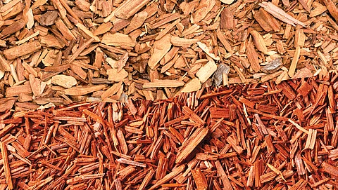 Against the grain