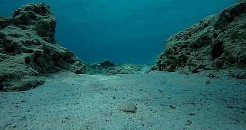 Negotiations on mining code for deep-sea mining begin in Jamaica amid mounting pressure from industries
