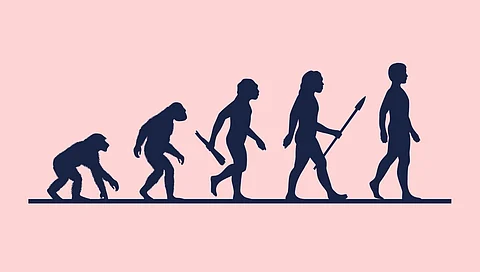 Modern humans likely originated from two ancient populations, with one group contributing 80% and another providing 20% of our genetic makeup.