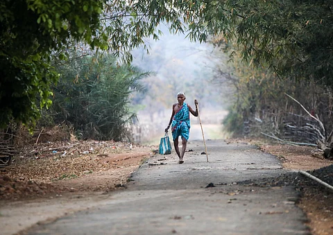 Forest rights under siege: Petitioners challenge misrepresentation of FRA ahead of Supreme Court hearing
