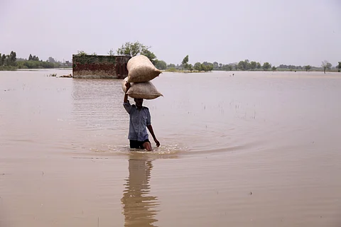 Kosi floodplains: Survey reveals glaring issues in Bihar's flood management, 62% respondents neglected by relief measures