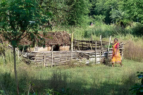 FRA implementation: Experts fear eviction of tribal families as review of rejected claims not implemented yet