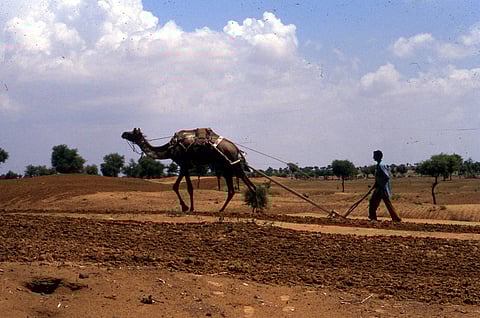 A 2022 CSE study of 50 million soil samples (2015-19) found 85% deficient in organic carbon, 97% in nitrogen, 83% in phosphorus, and 71% in potassium.