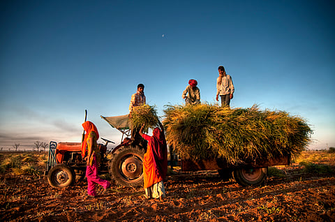 India’s agricultural future hinges on a delicate balance between global trade integration and domestic food security