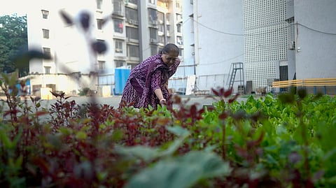 Housing societies can be ‘hubs for climate action’