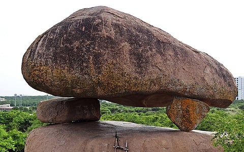 A city against its forest: Kancha Gachibowli and the crisis of urban planning