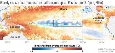 This animation shows weekly sea surface temperatures in the Pacific Ocean from late January to early April 2025, compared to the average. Warmer-than-usual areas appear in orange and red, while cooler areas are shown in blue. The cooler waters linked to La Niña in the key ENSO-monitoring region (marked by a black box) have faded in recent weeks.