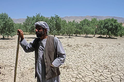 In one of Afghanistan’s driest and poorest provinces, climate change is making farming unviable