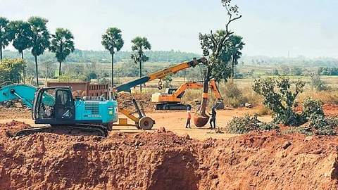 Tree transplantation had already begun in the pilot zone for the coal project with 185 of an estimated 980 trees moved from the 326-acre area.