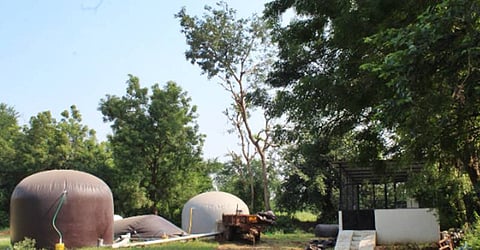 In Gujarat’s Anand, dung economy is catalysing a positive change for women in India’s urban fringes