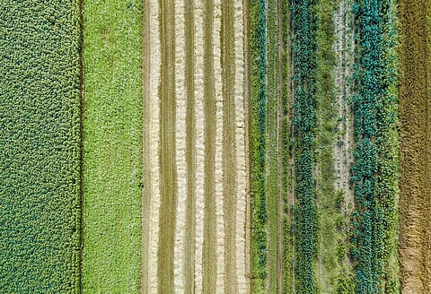 Earth Day 2025: Regenerative food systems are sustainable ways that can produce what we eat besides nurturing and protecting the planet