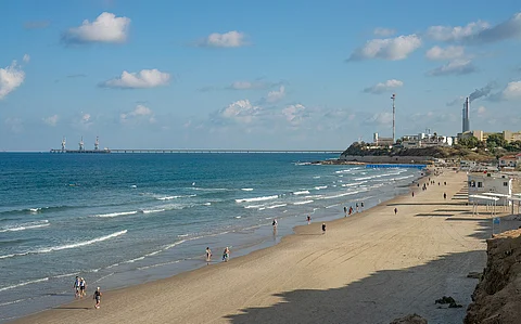 Behind shark attack in northern Israel’s Hadera, the story of a human-altered landscape