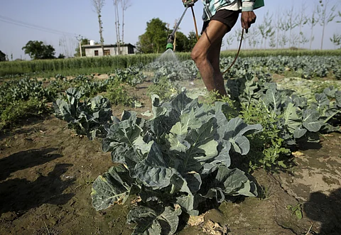 India must act against chlorpyrifos pesticide ahead of global chemical summits in Geneva, experts urge