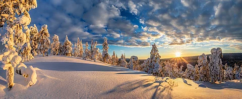 Finland: Here's how researchers calculated that Lapland’s last summer smashed 2,000-year-old temperature records
