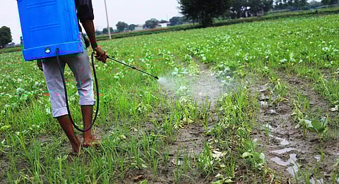 India opposes inclusion of insecticide Chlorpyrifos at Stockholm Convention despite calls for ban