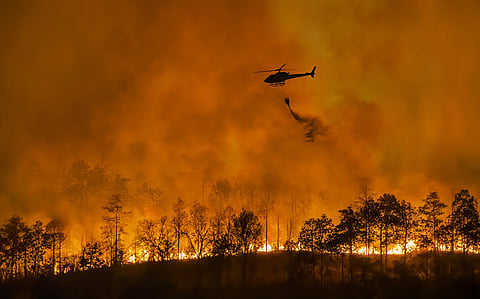 Climate change narrowing gap between fire seasons in eastern Australia and western North America