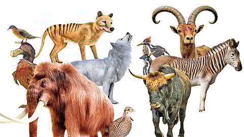 Resurrection line up