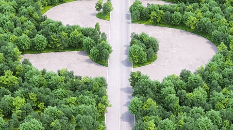 World Bank’s land reform agenda faces 'climate-washing' allegations ahead of key conference