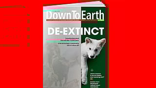 Highlights from the issue