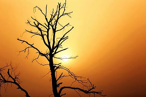 Daily weather tracker: Hot & humid weather likely to prevail over Tamil Nadu, Puducherry and Karaikal