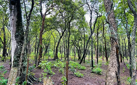 Access and Benefit Sharing: New rules for use of biodiversity put in place by Centre