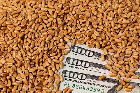 Unmasking the true emperors of agricultural protectionism