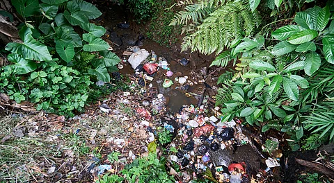 Plastic pollution crisis deepens in Himalayan region as 71% of waste is not recyclable: Report