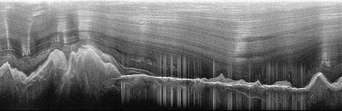 A radar image showing the Gamburtsev mountain range under layers of ice. Creyts et al., Geophysical Research Letters (2014), CC BY-SA