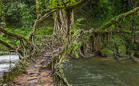 Daily weather tracker: Extremely heavy rainfall at isolated places over Meghalaya on May 14