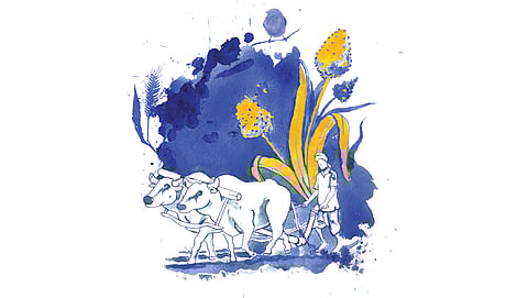 Nature writes back: Farm folklore