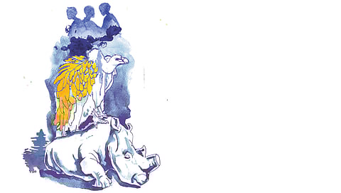 Nature writes back: Conservation as a literary leitmotif