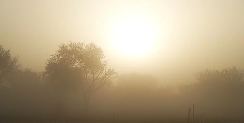 Daily weather tracker: Strong dust raising winds very likely over Delhi on May 16 and 17