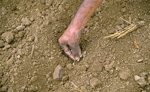 India needs to support its community seed banks to ensure food security in climate-risked times: CSE