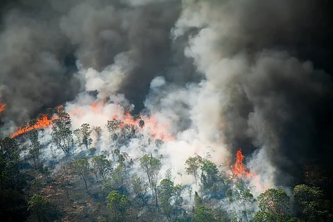 Frequent wildfires under warming climate turning forests into super carbon emitters
