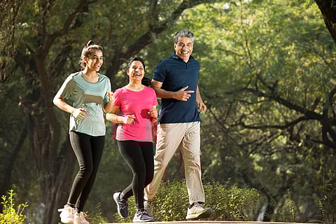 Daylight can boost the immune system’s ability to fight infections: New study