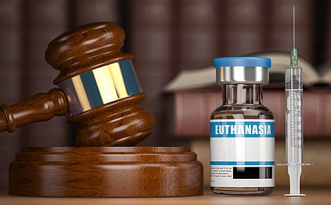 France approves euthanasia bill in a major step towards end-of-life choice