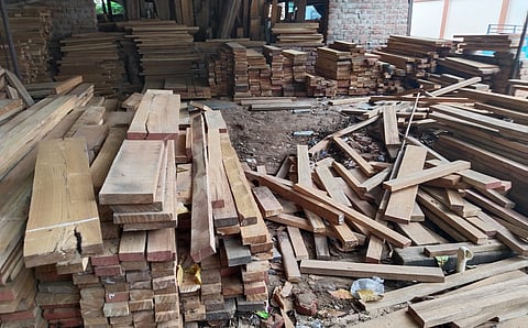 Frame requisite guidelines for plywood industries: NGT tells environment ministry