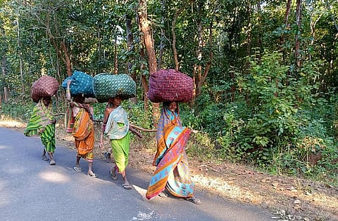 For communities dependent on agriculture, alternatives such as horticulture, vegetable farming, and integrated fisheries-agriculture models should be introduced.