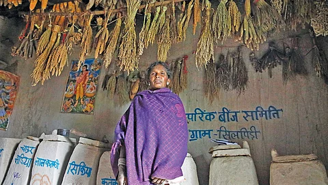 A farmer at a community seed bank in Silpidi village of Dindori district, Madhya Pradesh. Farmers who take seeds from the bank
return double the volume after harvest