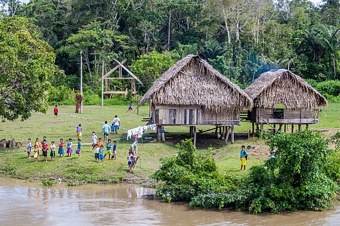 Drug trafficking threatening Indigenous peoples, Amazonian ecosystems in Peru, warns report
