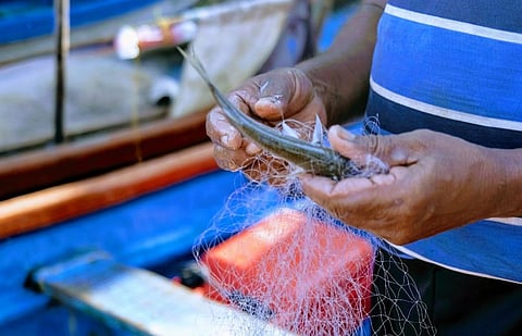 World Environment Day 2025: Controlling plastic pollution is a Herculean task; but ending it globally is quite possible