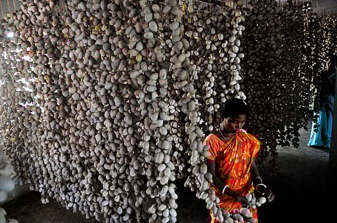 Cocoons of hope: Where wild silk meets tribal hands